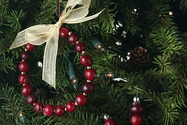 Cranberry Wreath Ornament