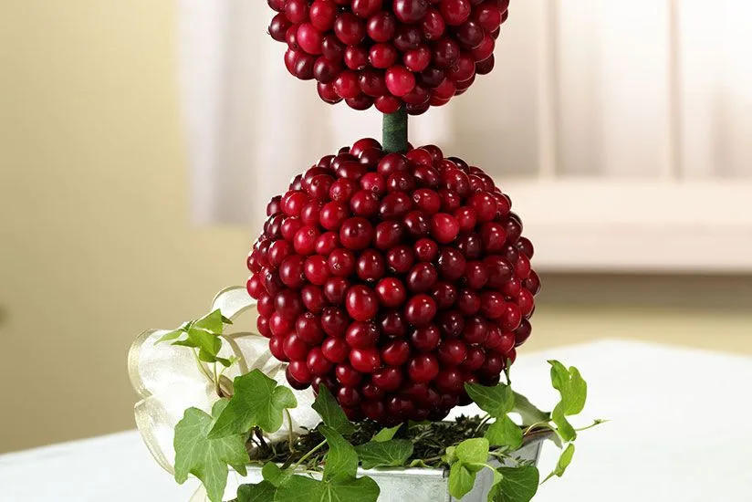 Cranberry Topiary