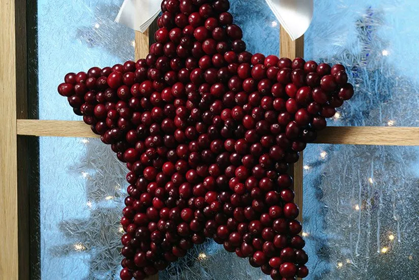 Festive Cranberry Star