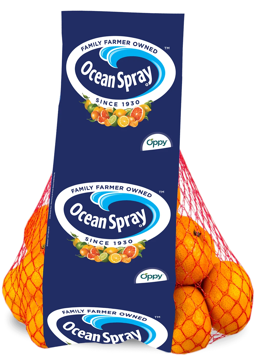 Easy Peel Oranges front image.