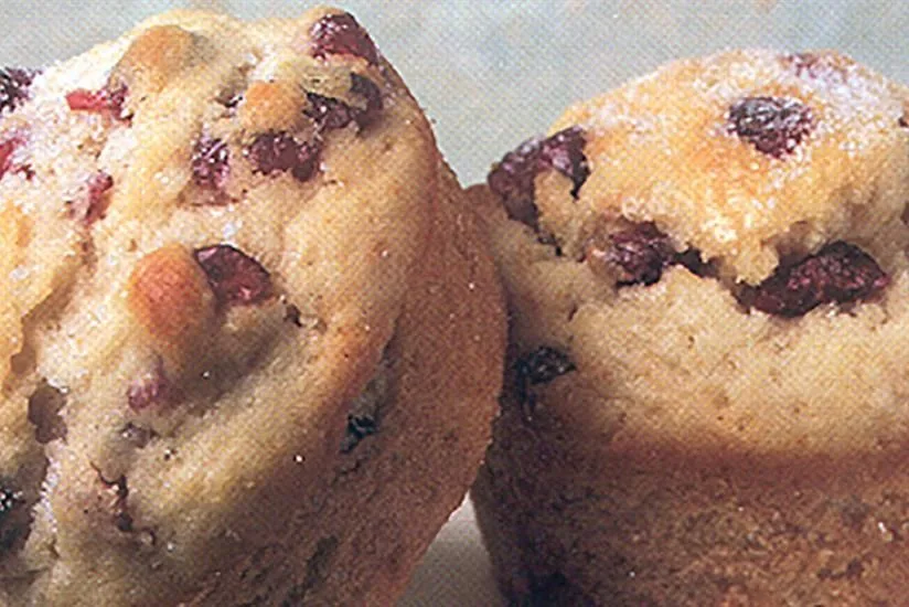 Reduced Fat Cranberry Chip Muffins