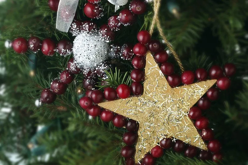 Cranberry Star Ornament 