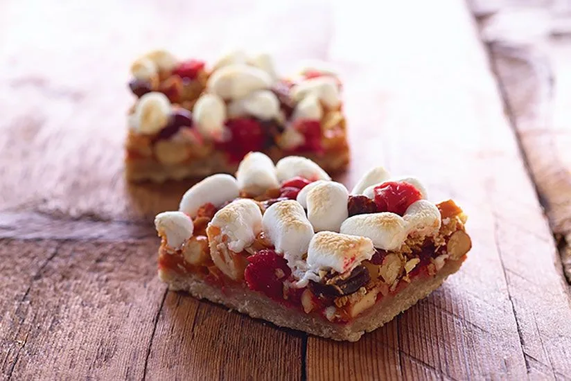 Cranberry Granola Nut Bars