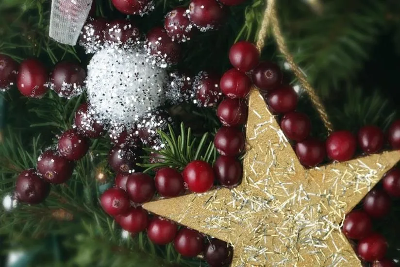 Cranberry Snowflake Ornament