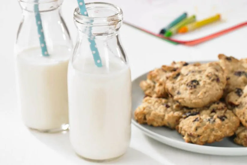 Cranberry Oatmeal Snack Cookies