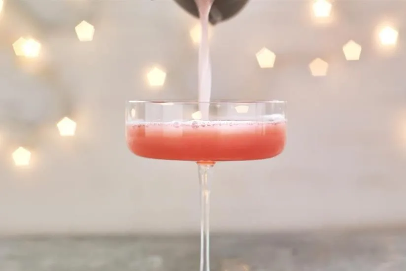 Cranberry Pisco Sour