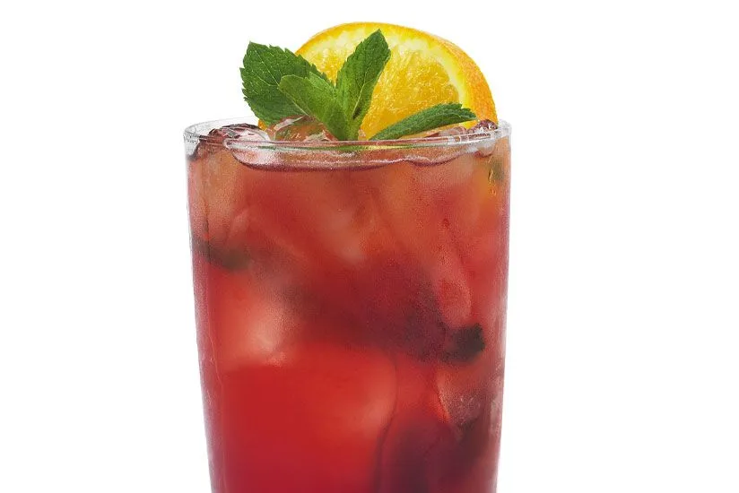 Cranberry Blackberry Mojito